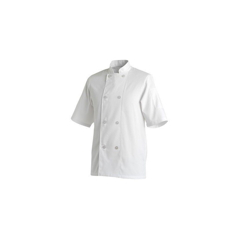 CHEFS UNIFORM JACKET BASIC SHORT SLEEVE - WHITE - LARGE - 1